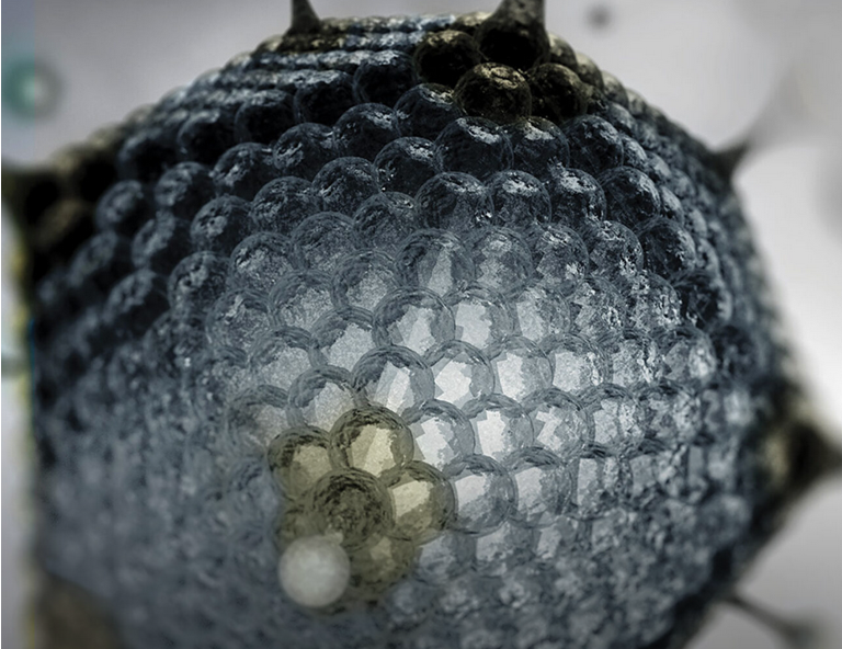 نجات  موش‌های مبتلا به اختلال قلبی توسط ژن‌درمانی